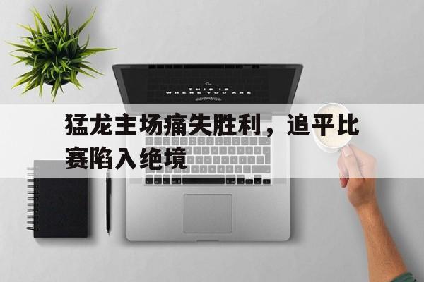 猛龙主场痛失胜利，追平比赛陷入绝境